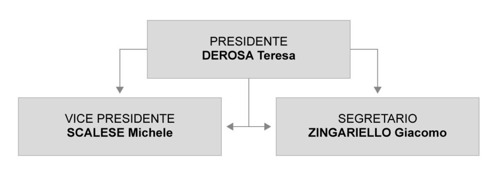 comitato esecutivo